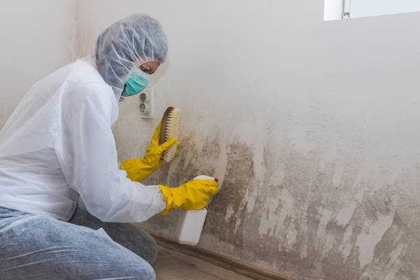 Water Damage Restoration in Brooklyn, IA