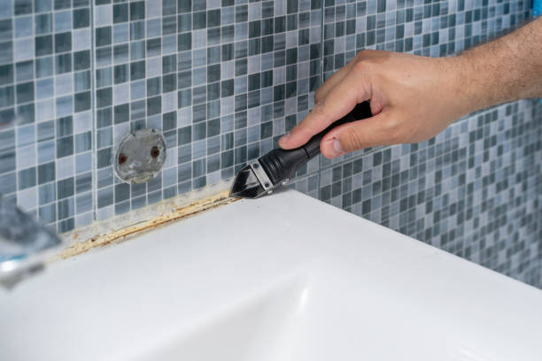 Best Residential Mold Removal  in Brooklyn, IA